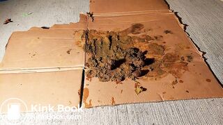 Milf Mashing Dog Spout, ScatKings.com Scat Porn 21 ScatKings.com Scat Porn