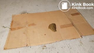 Milf try to crush bid dog shit, ScatKings.com Scat Porn 17 ScatKings.com Scat Porn