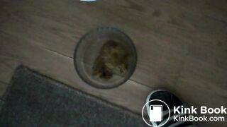 POO Combo !, ScatKings.com Scat Porn 4 ScatKings.com Scat Porn