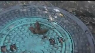 POO ON A PUT, ScatKings.com Scat Porn 11 ScatKings.com Scat Porn