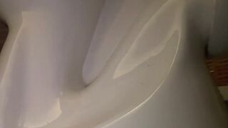 Pooping Toilet Girl TY 4, Very quick morning poo, ScatKings.com Scat Porn 8 ScatKings.com Scat Porn